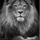 Foto do autor Escola Exodus