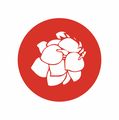ColorCeibo logo