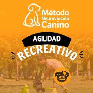 Imagen de portada para Curso online Manual de Agilidad Recreativa