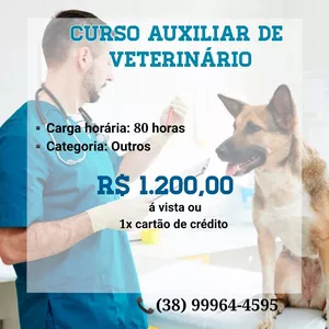 Imagem de capa para o Curso online Curso Auxiliar de Veterinário