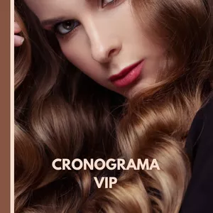 Imagem de capa para o Ebook Cronograma VIP é que você pode lucrar muito.