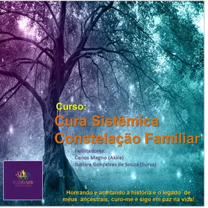 Imagem de capa para o Curso online Cura Sistêmica - Constelação Familiar