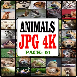 Cover image for Online course Animals Photo