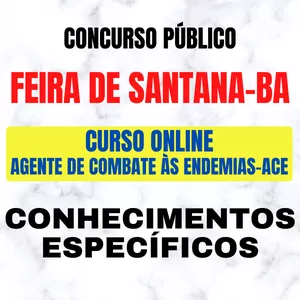 Imagem de capa para o Curso online Curso Online ACE Feira de Santana-BA