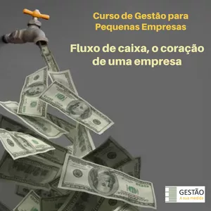 Imagem de capa para o Curso online Fluxo de caixa, o coração de uma empresa