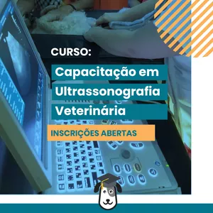 Imagem de capa para o Curso online Curso 100% ONLINE  Capacitação em Ultrassonografia Veterinária