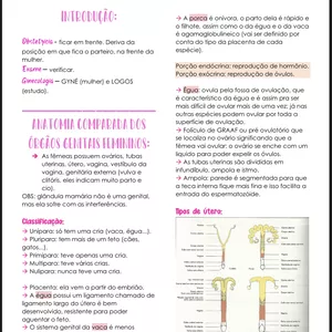 Imagem de capa para o Ebook Ginecologia e obstetrícia- pequenos e grandes animais