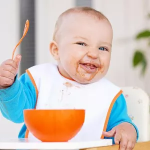 Imagem de capa para o Curso online Guia GAPS - Duda Oschoski