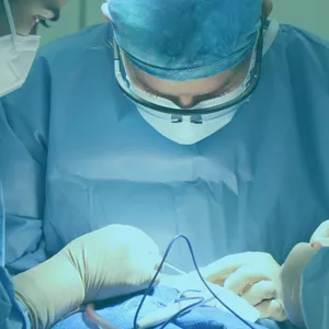 Imagen de portada para Curso online Diálisis Peritoneal sin secreto