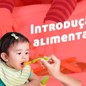 Imagem de capa para o Ebook introdução alimentar