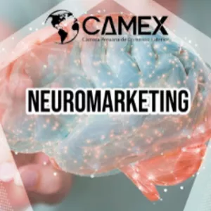 Imagen de portada para Curso online CURSO DE NEUROMARKETING