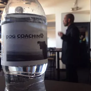 Imagen de portada para Curso online Identificación y Control Emocional para la educación sana y comunicación efectiva con perros.