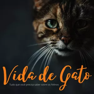 Imagem do curso Vida de gato