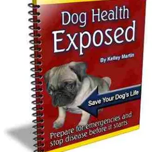 Imagem de capa para o Ebook Manual perfeito para donos de cães imperfeitos