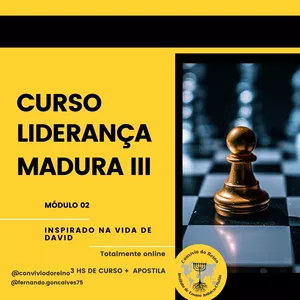 Imagem de capa para o Curso online LIDERANÇA MADURA III