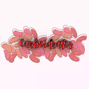 Imagem de capa para o Ebook Mapa Mental - Carboidratos