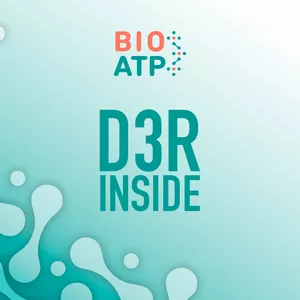 Imagem de capa para o Curso online Intensivo - D3R Inside