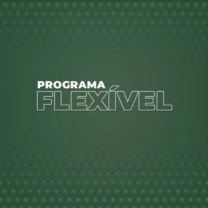 Imagem de capa para o Curso online Programa Flexível
