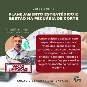 Imagem de CURSO DE PLANEJAMENTO ESTRATÉGICO E GESTÃO NA PECUÁRIA DE CORTE. criado por Rafael Barros  na hotmart