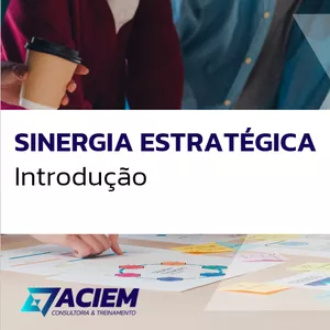 Imagem de capa para o Ebook Introdução: Sinergia Estratégica