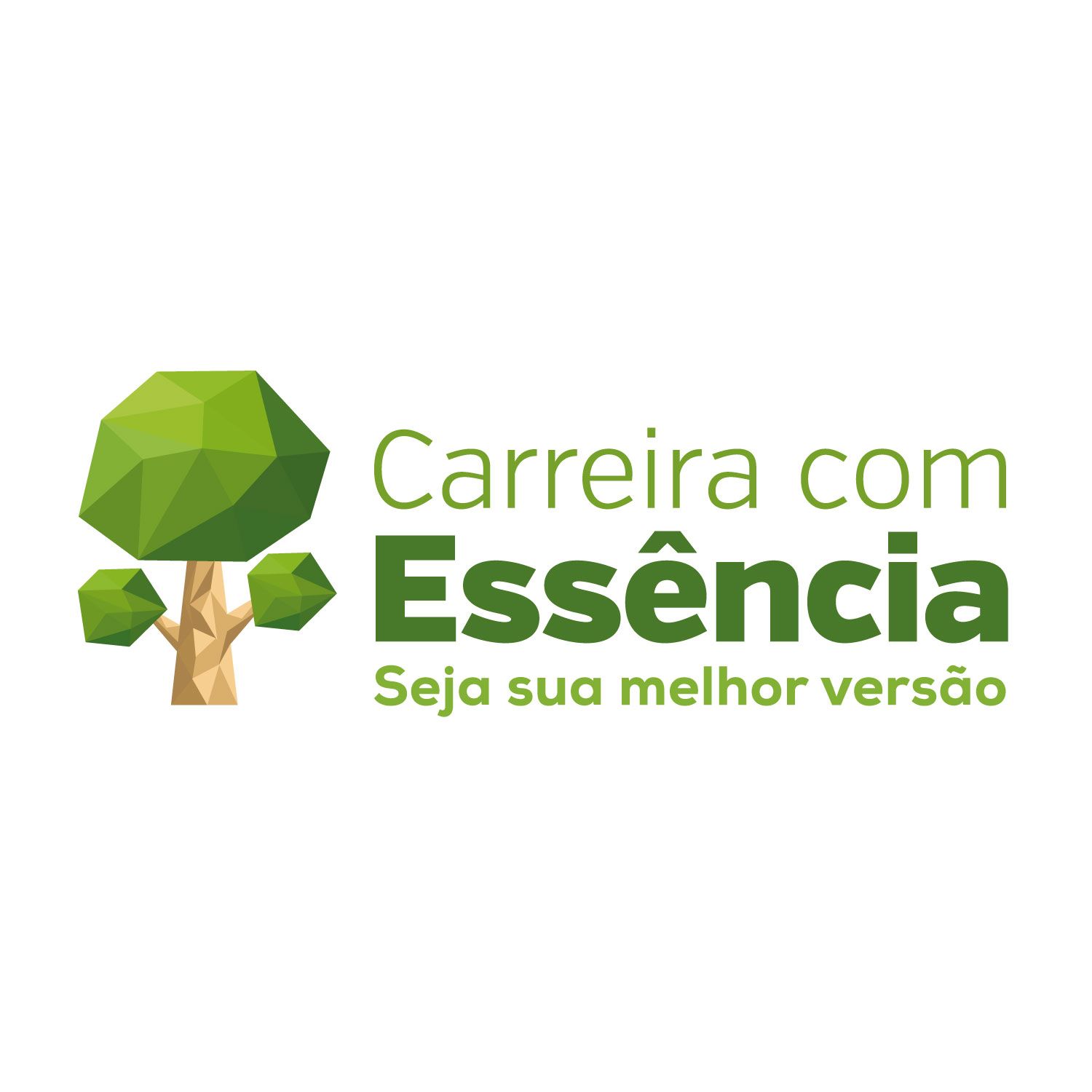 Imagem do curso Carreira com Essência