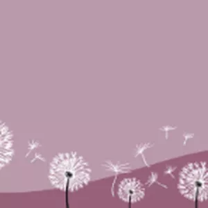 Imagem de capa para o Curso online Acalmando a Mente - Turma 31