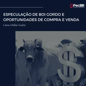 Imagem de capa para o Curso online ESPECULAÇÃO DE BOI GORDO E OPORTUNIDADES DE COMPRA E VENDA