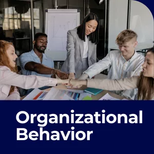Imagem de capa para o Curso online  Organizational Behavior