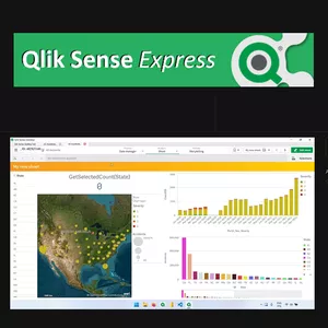 Cover image for Online course Data Visualization and Manipulation with Qlik Sense