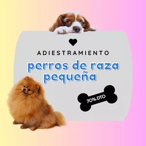 Imagen de portada para Ebook Adiestramiento perros de raza pequeña  