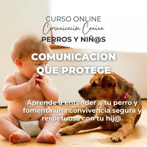 Imagen de portada para Curso online Curso Online de Comunicación Canina - Perros y Niños