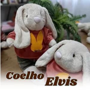 Imagem de capa para o Curso online Coelho Elvis