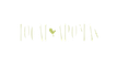 Casa Local Aromas