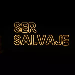 Imagen de portada para Curso online SER SALVAJE 33