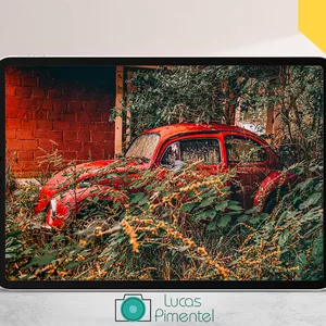 Imagem de capa para o Curso online Retomada da Natureza