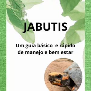 Imagem de capa para o Ebook JABUTIS - Um guia básico  e rápido de manejo e bem estar