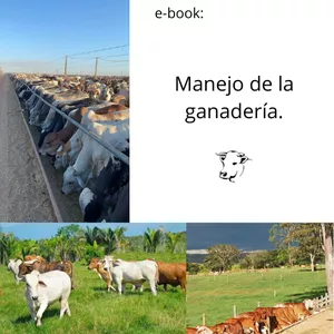 Imagen de portada para Ebook e-book. Manejo de la ganaderia.