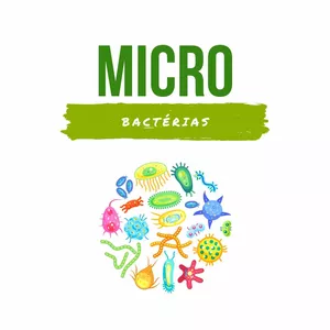 Imagen de portada para Ebook MICROBIOLOGÍA: BACTÉRIAS (bonus: patología ERA 1)