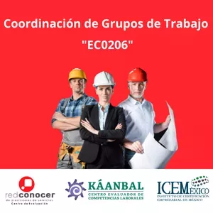 Imagen de portada para Curso online Coordinación de Grupos de Trabajo EC0206