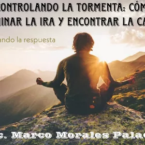 Imagen de portada para Ebook Manual para aprender a sobrellevar la ira.