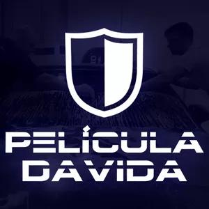 Curso profissional de aplicação de película Anti-Trinca Life Clear