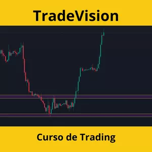 Imagen de portada para Curso online TradeVision