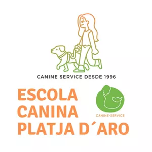 Imagen de portada para Evento presencial Reserva programa Transformer en Canine Service