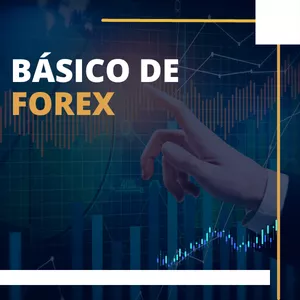 Imagen de portada para Curso online Básico de Forex