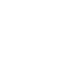 Successful Minds logo