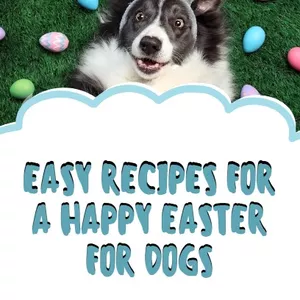 Imagem de capa para o Ebook Easy recipes for a happy easter for Dogs