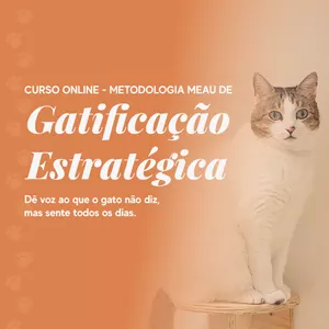 Curso Curso - Método Meau de Gatificação Estratégica