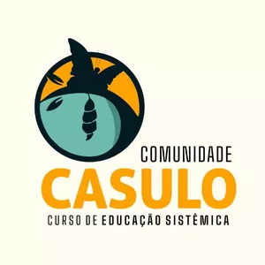 Imagem de capa para o Curso online CASULO T2 - Curso de Educação Sistêmica