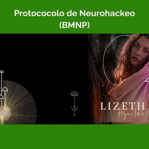 Imagen de portada para Curso online Neurohackeo con Hongos - Protocolo BNMP
