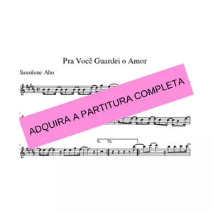 Imagem de capa para o Ebook Pra você guardei o amor